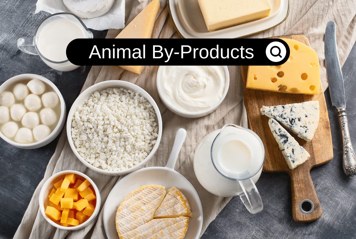 Animal By-Products