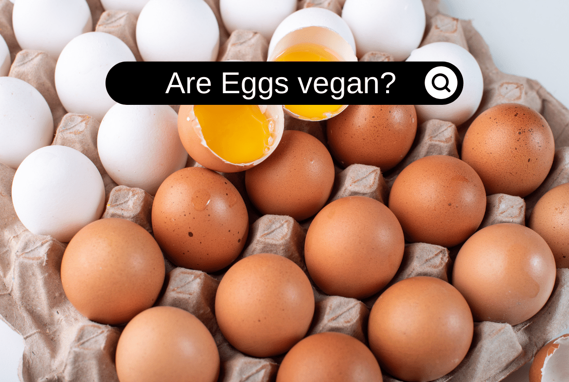 Are Eggs vegan