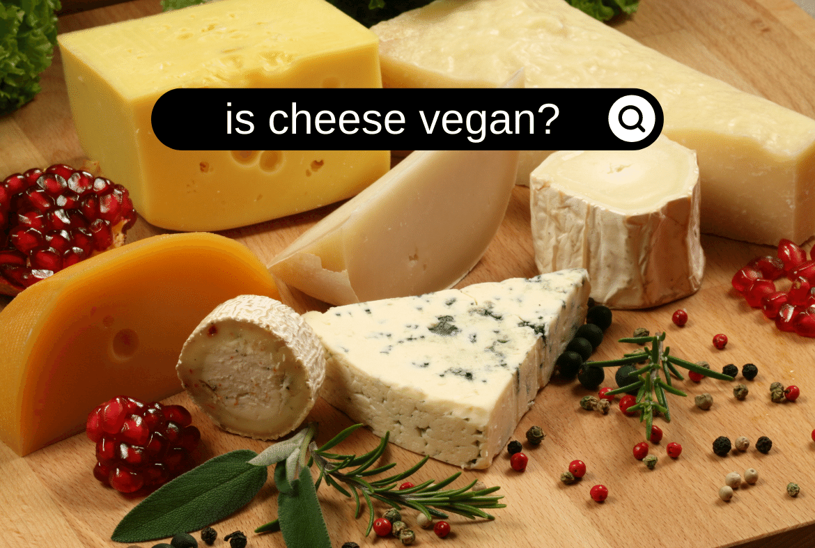 Is cheese vegan