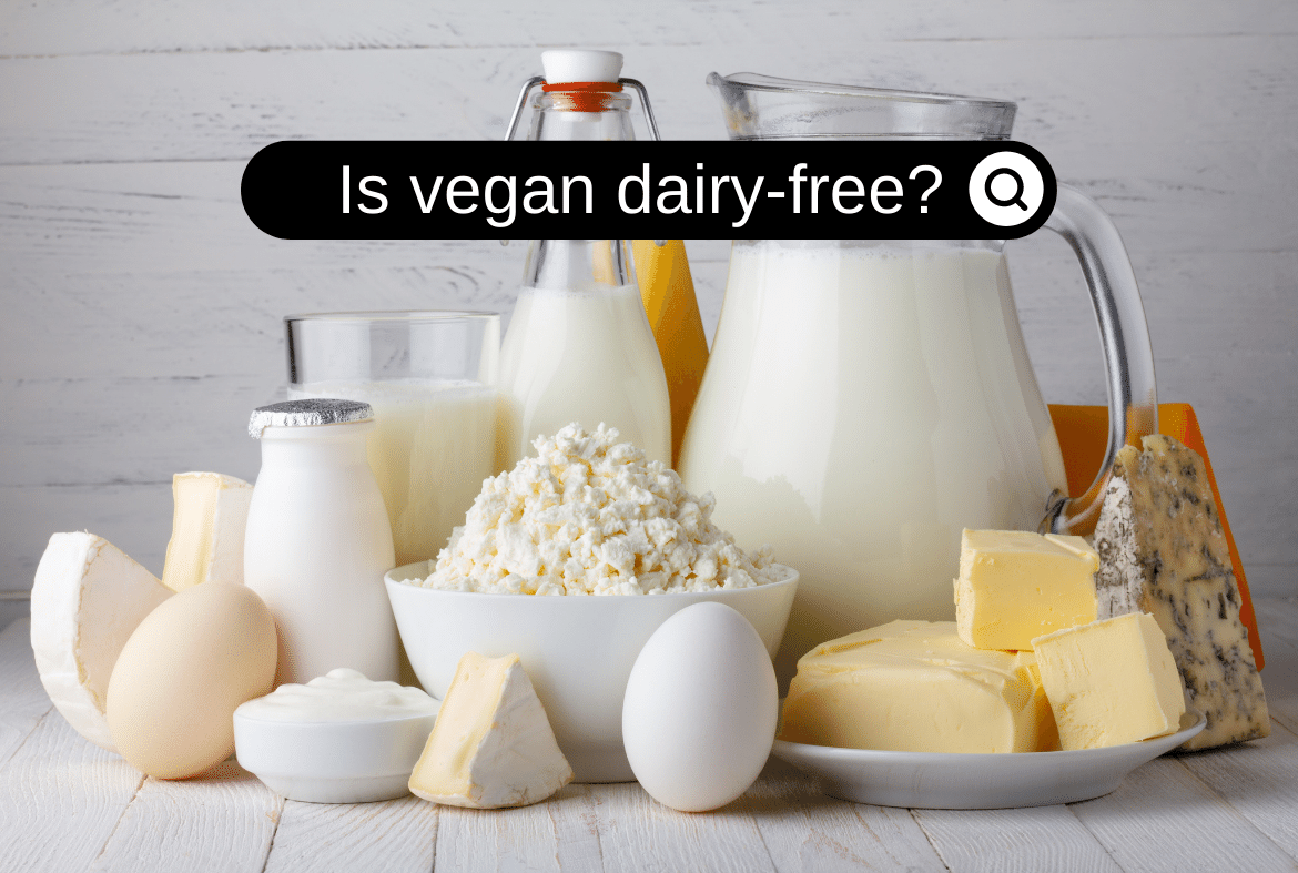Is vegan dairy-free