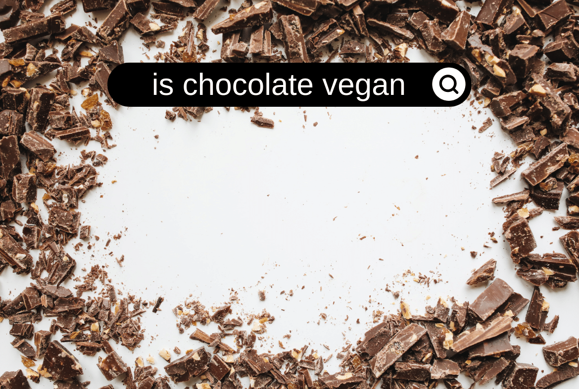 is chocolate vegan
