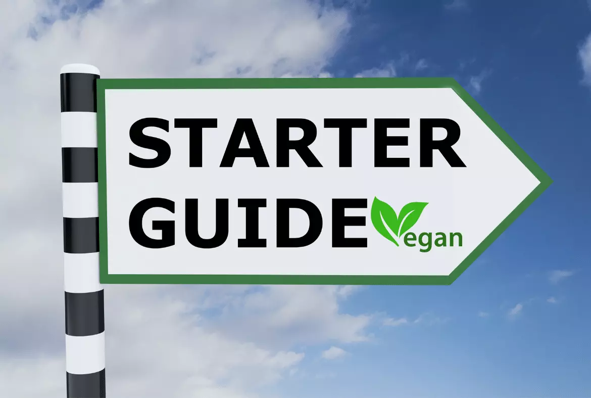 vegan guide starter