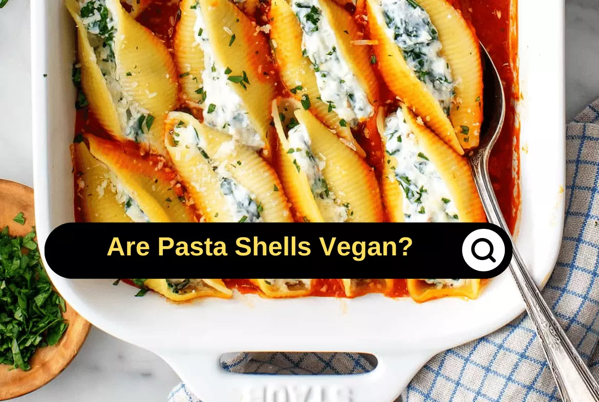 Are Pasta Shells Vegan Can Vegans Eat Pasta Shells