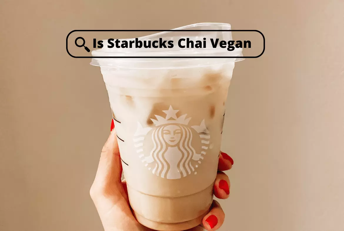 Is Starbucks Chai Vegan? Tea & Chai Latte Covered