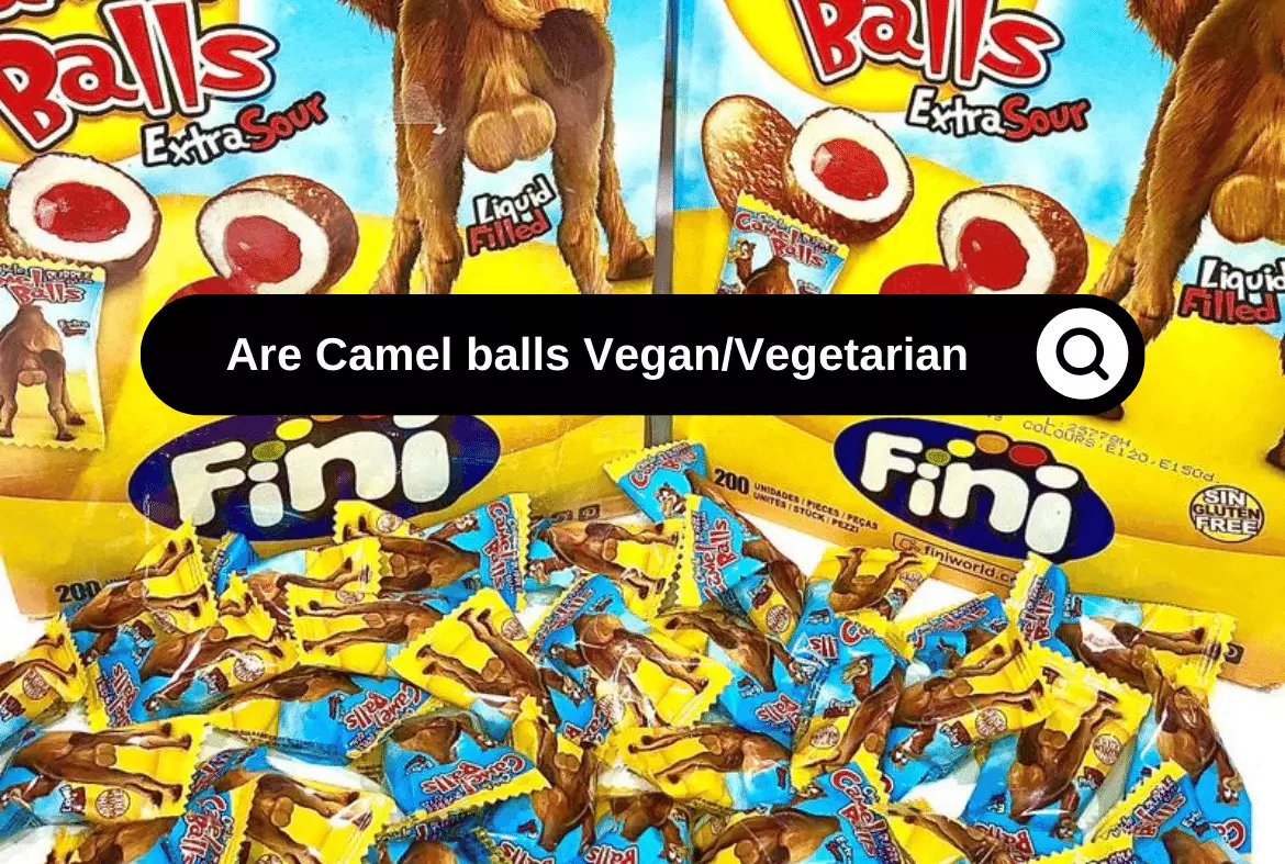 are Camel Balls Vegan are Camel Balls Vegetarian