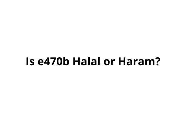 Is e470b Halal or Haram?