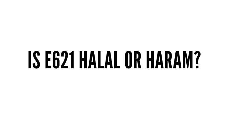 Is e621 Halal or Haram? MSG Flavor Enhancer