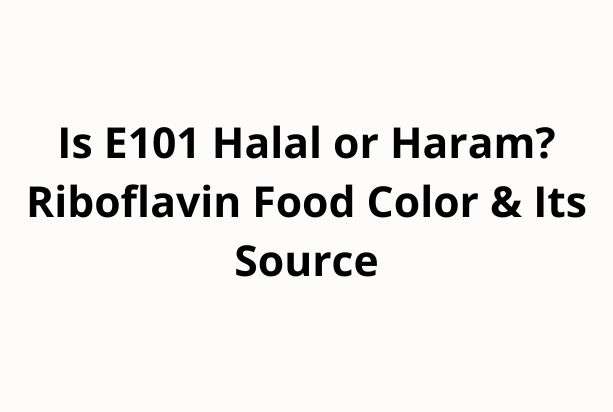 Is E101 Halal or Haram? Riboflavin Food Color & Its Source