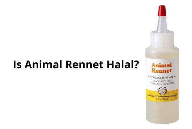 Is Animal Rennet Halal Or Haram