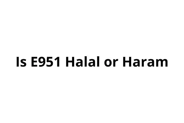Is E951 Halal or Haram? Aspartame Food Additive