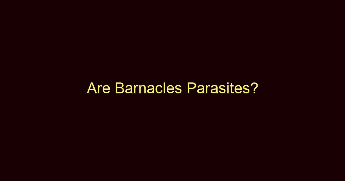 are barnacles parasites 12100