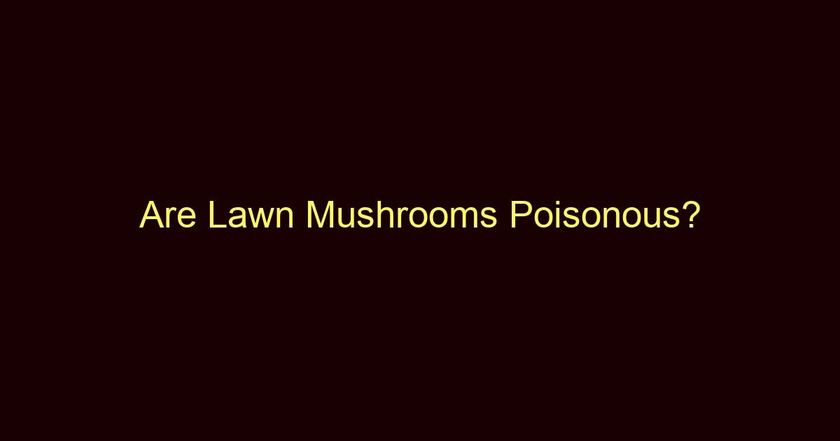 are lawn mushrooms poisonous 12881