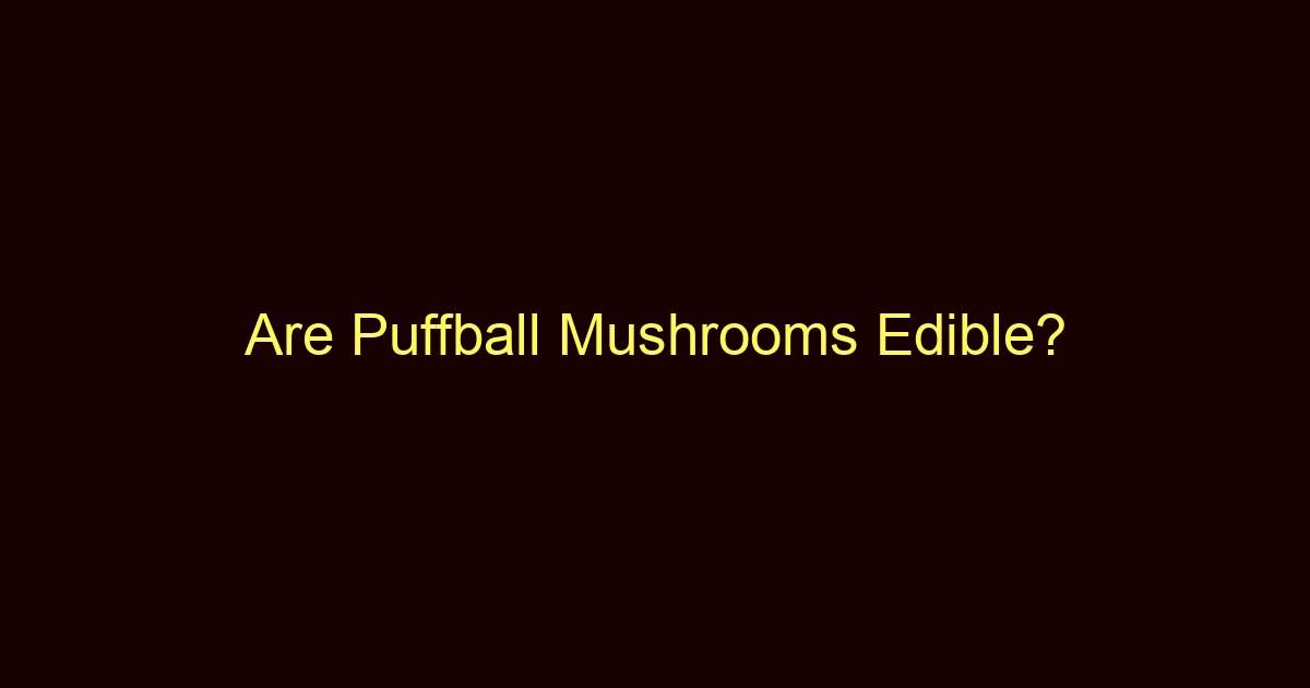 are puffball mushrooms edible 12894