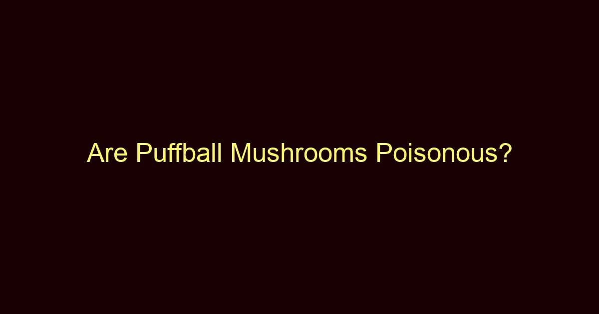 are puffball mushrooms poisonous 12896