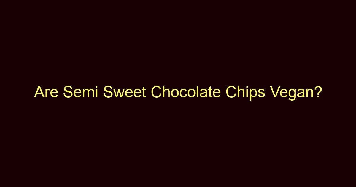 are semi sweet chocolate chips vegan 11845