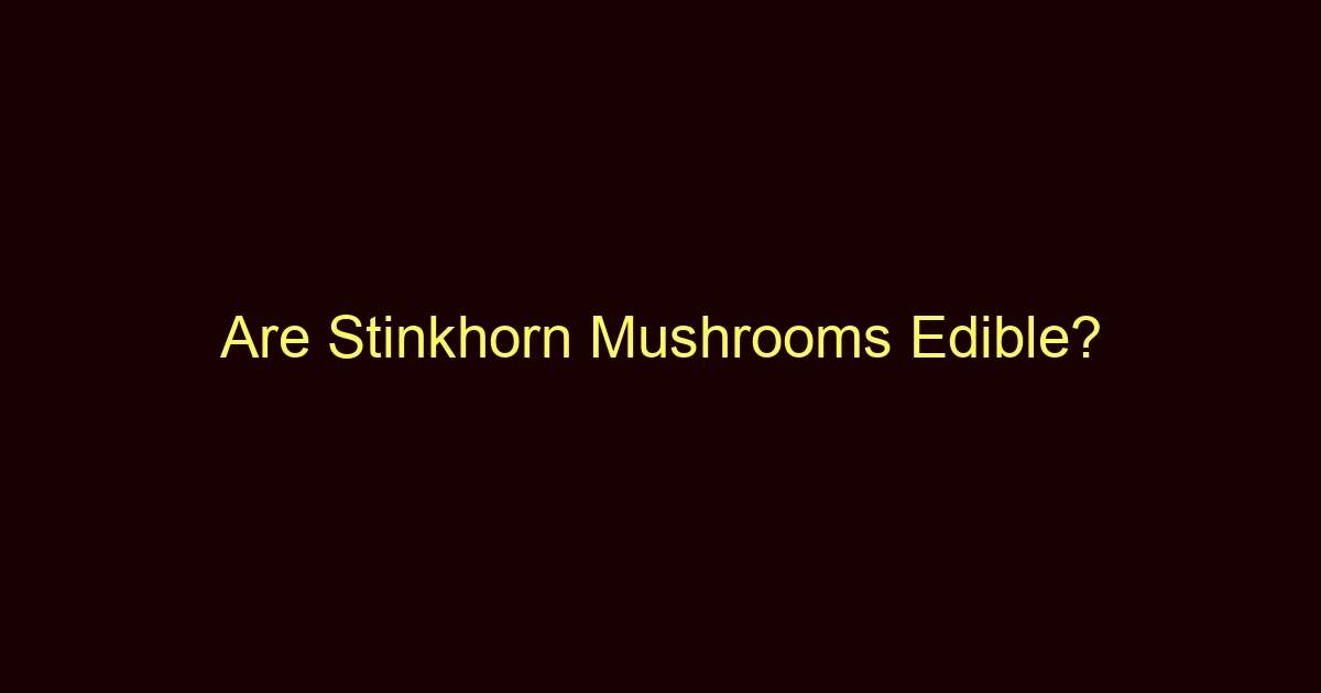 are stinkhorn mushrooms edible 12888