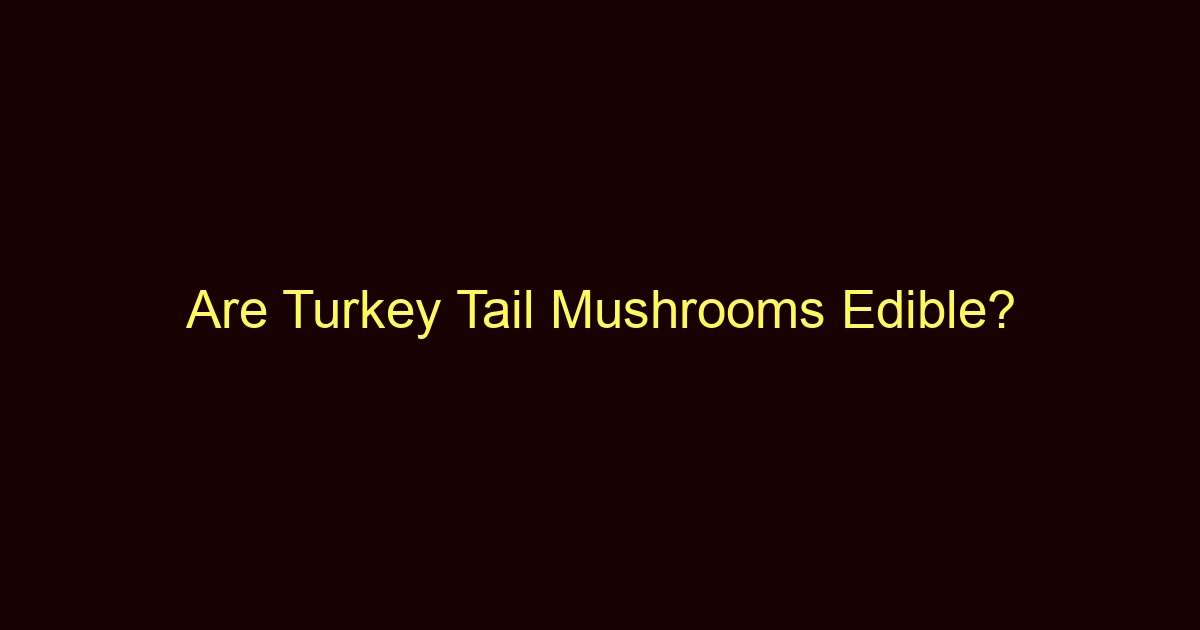 are turkey tail mushrooms edible 12886