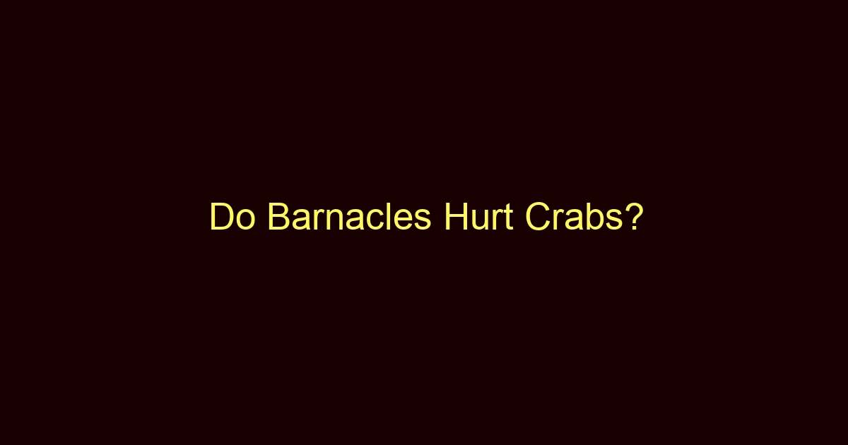 do barnacles hurt crabs 12098