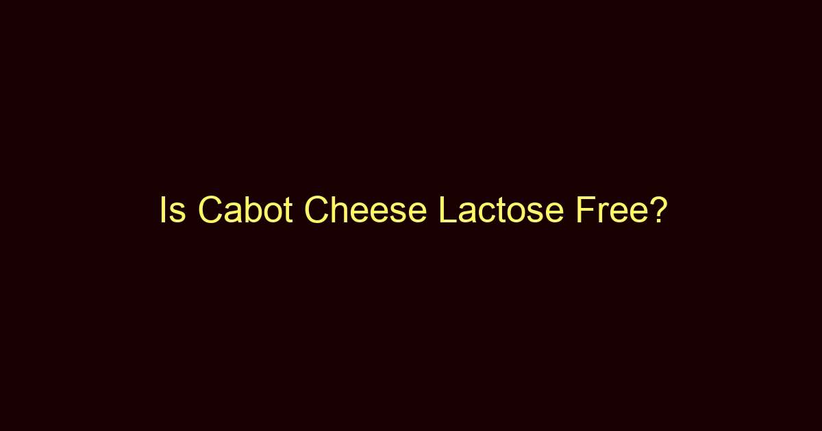 is cabot cheese lactose free 12547