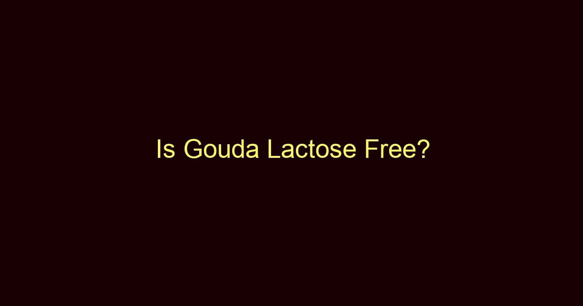 is gouda lactose free 12473