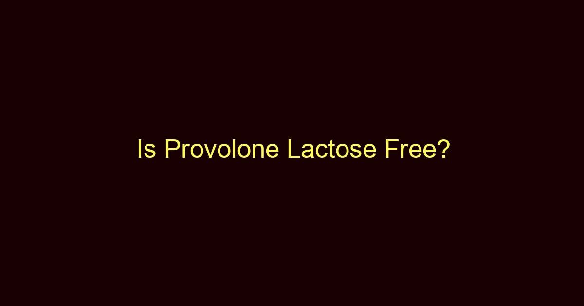 is provolone lactose free 12584
