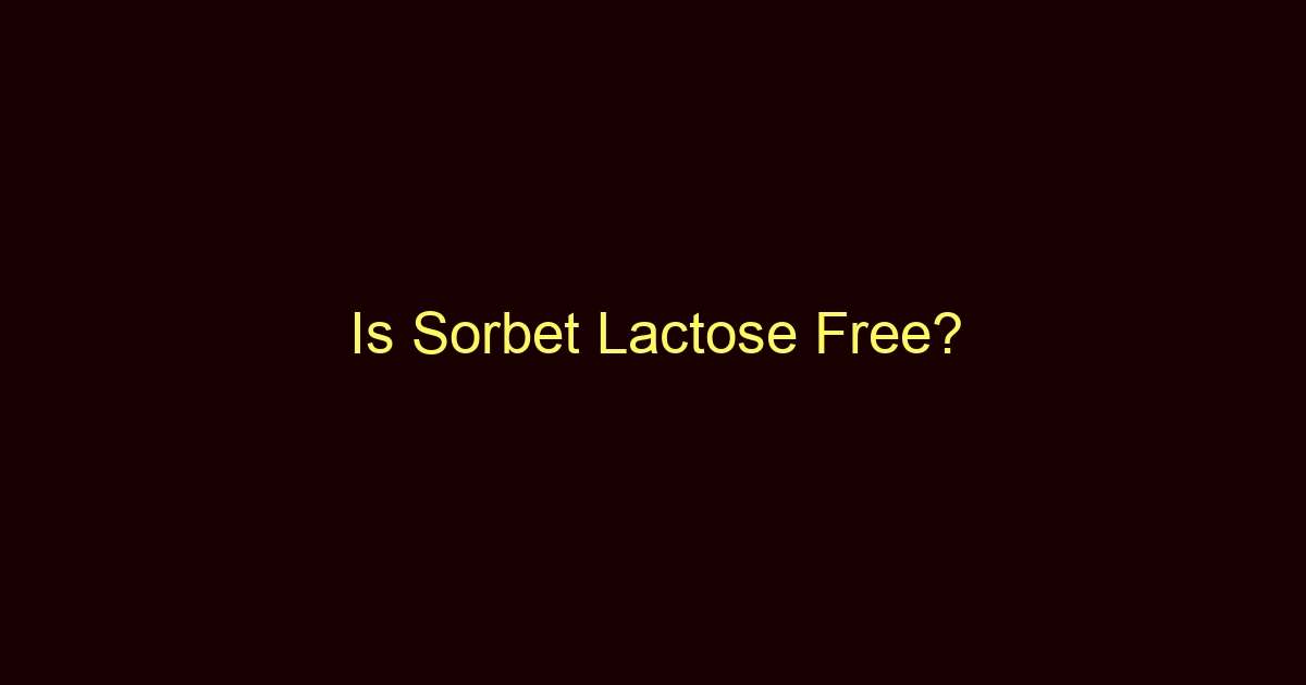 is sorbet lactose free 12481