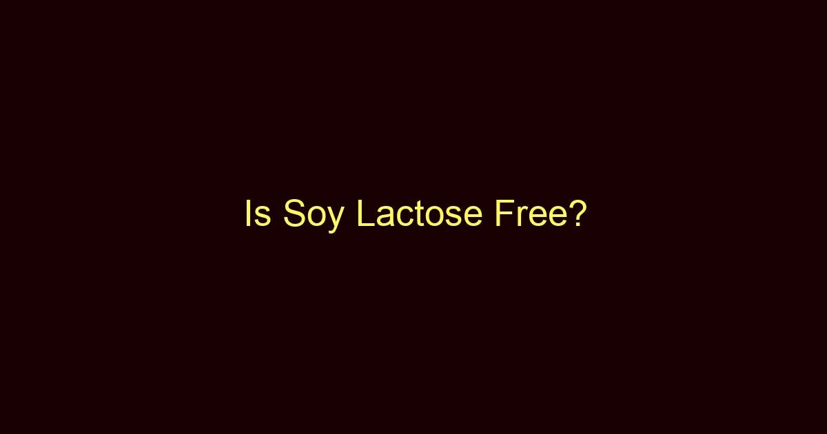 is soy lactose free 12518