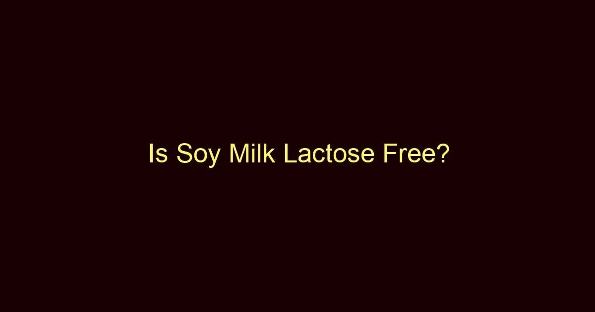 is soy milk lactose free 12525