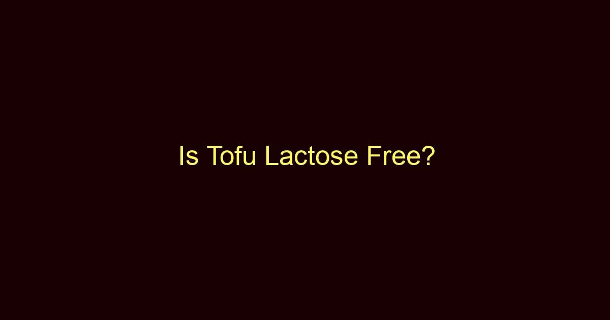 is tofu lactose free 12536