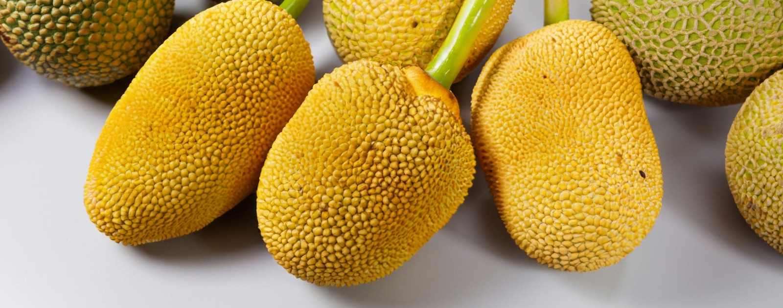 Is Jackfruit a Melon or a Fruit?