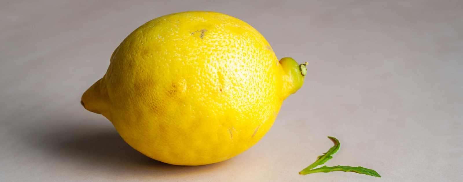 Is Lemon a Melon or a Fruit?