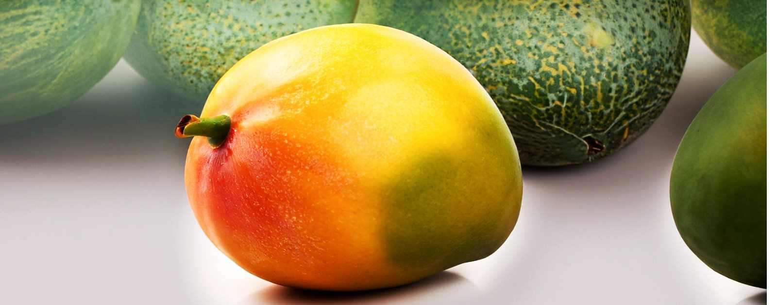 Is Mango a Melon or a Fruit?