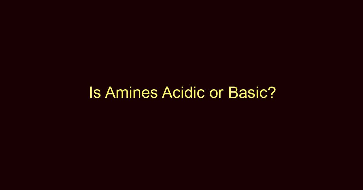 is amines acidic or basic 13315