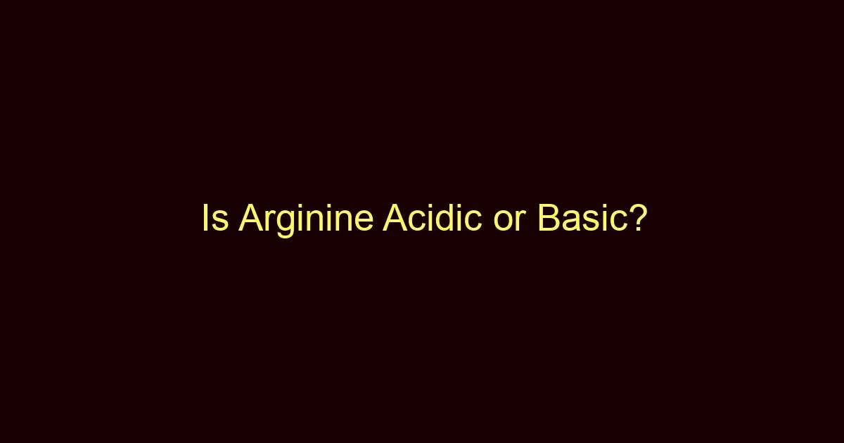 is arginine acidic or basic 13313