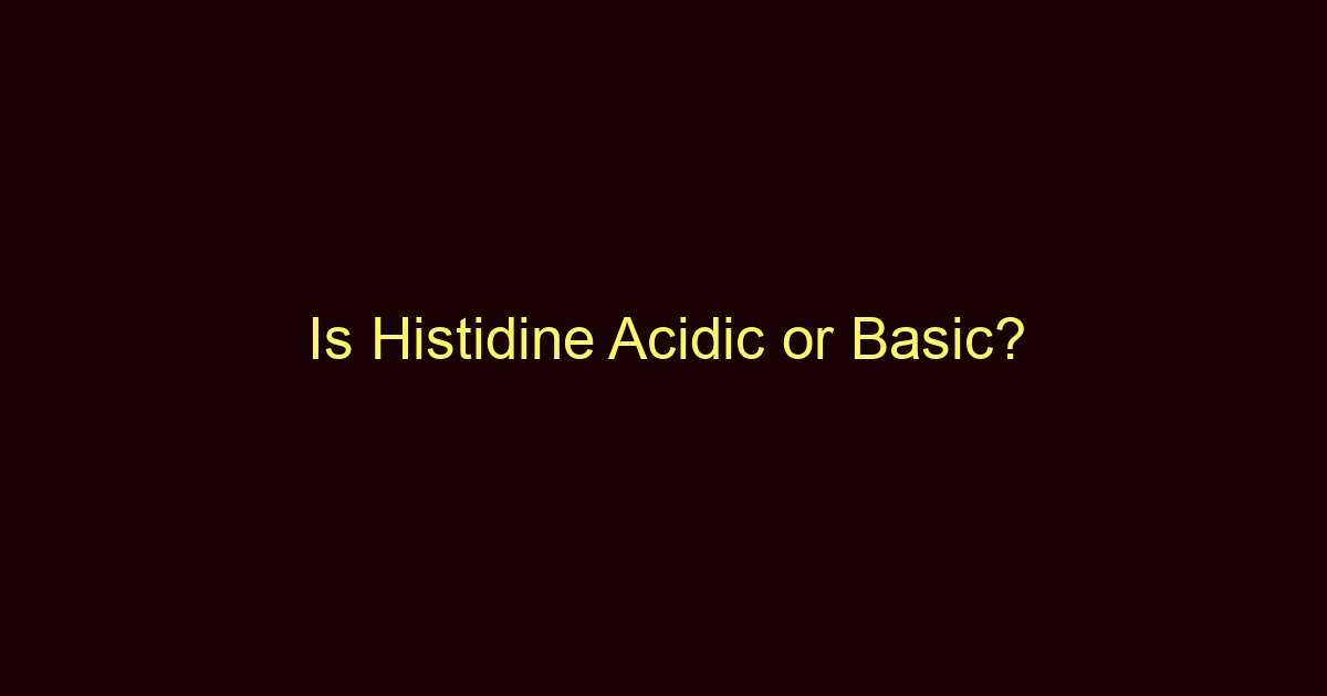 is histidine acidic or basic 13371