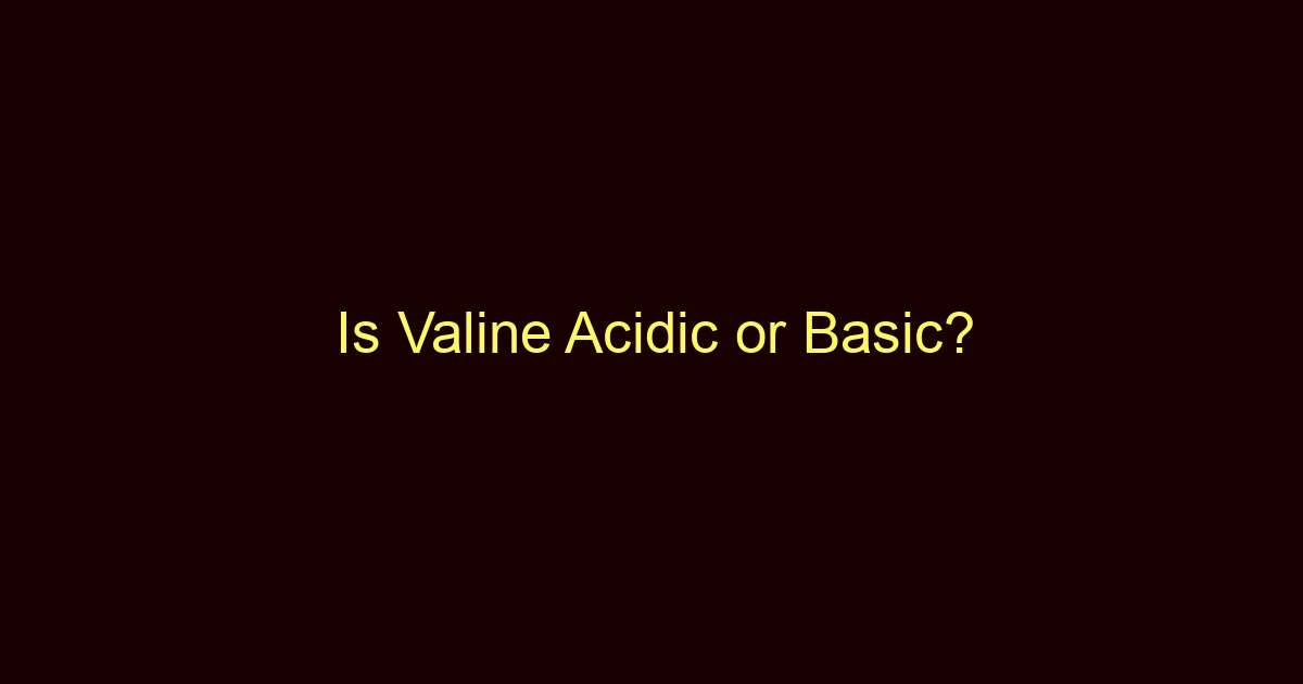 is valine acidic or basic 13335