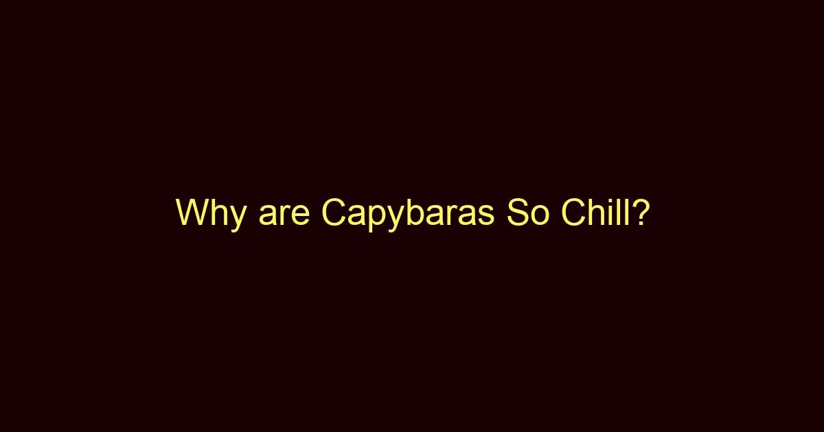 why are capybaras so chill 13227