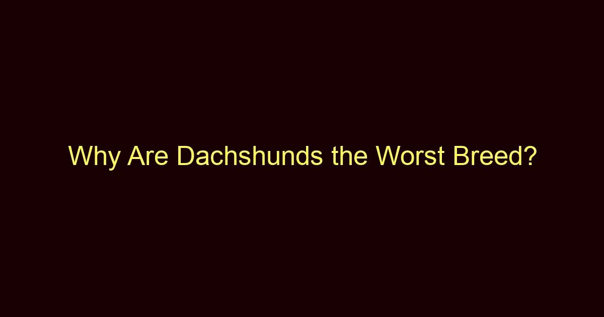 why are dachshunds the worst breed 13230